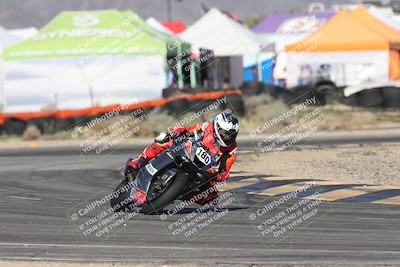 media/Jan-17-2026-CVMA (Sat) [[ab348a895b]]/Race 7- Formula 40 MW and LW/